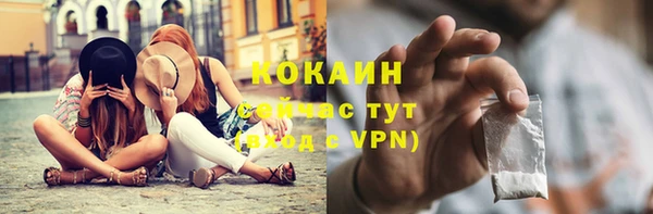 ешки Гусь-Хрустальный