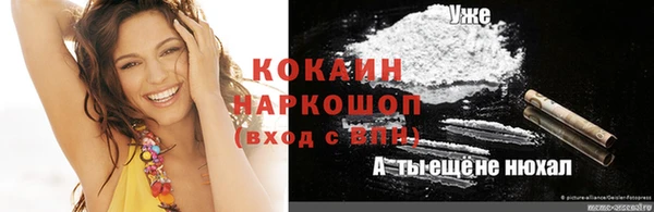 ешки Гусь-Хрустальный