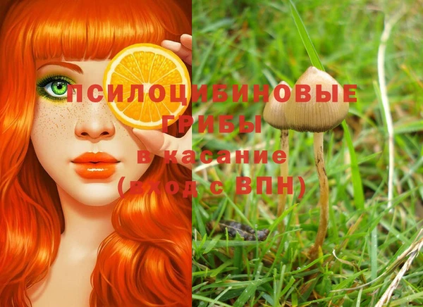 PSILOCYBIN Сатка
