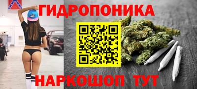 ешки Дубна
