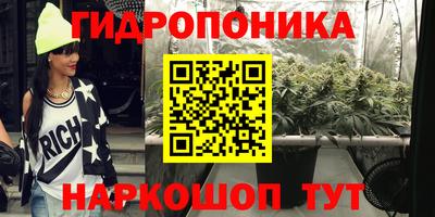 дурь Берёзовский