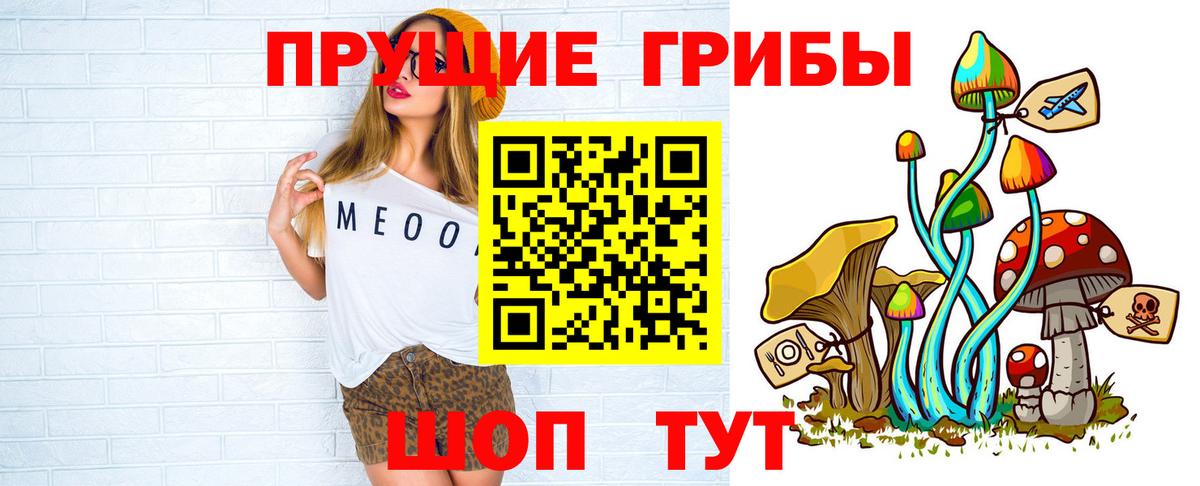 Псилоцибиновые грибы GOLDEN TEACHER Волжский